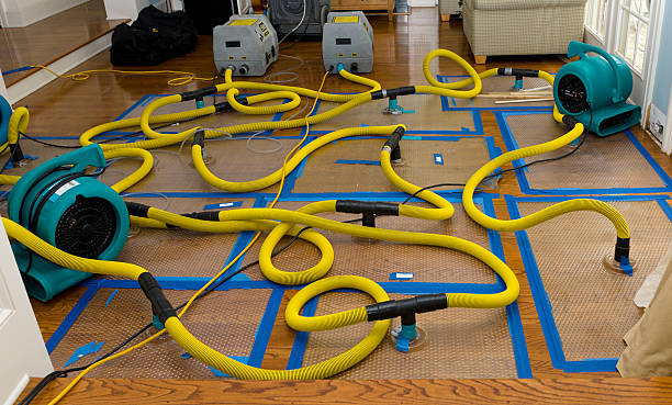 Professional Crawl Space Water Removal technician working in Riceville, TN